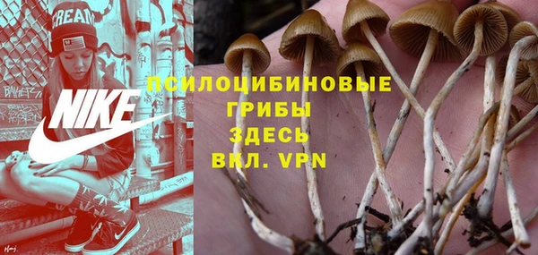 трава Армянск