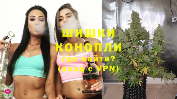 трава Армянск