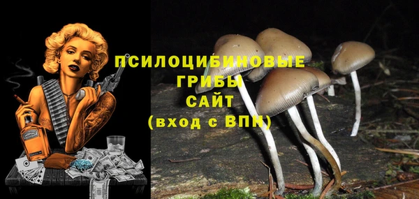 мяу мяу мука Аркадак