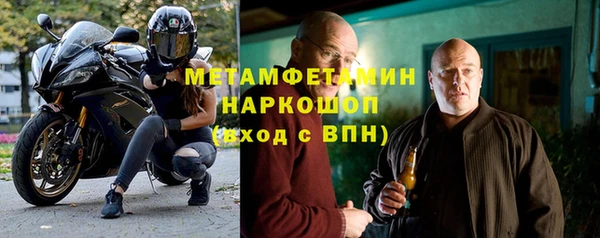 прущие грибы Карпинск
