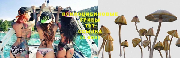 а пвп мука Касимов