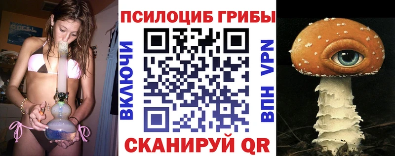 Галлюциногенные грибы Psilocybine cubensis  купить наркотик  Партизанск 